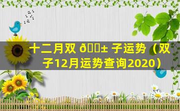 十二月双 🐱 子运势（双子12月运势查询2020）